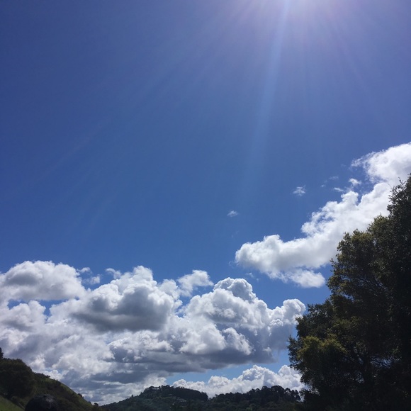 Meet your Posher, Ashley - Picture 1 of 1